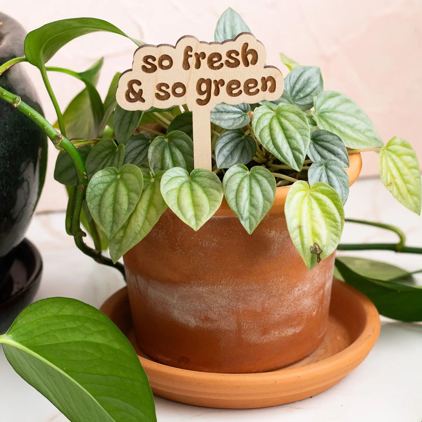 So Fresh & So Green Plant Marker