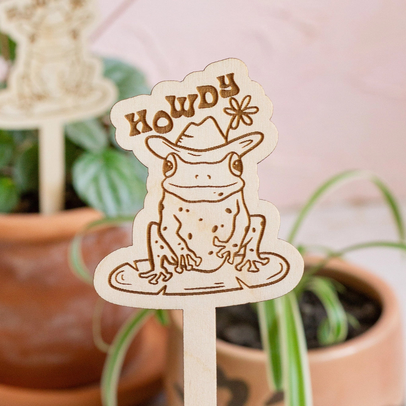 Cowboy Frog Plant Stake