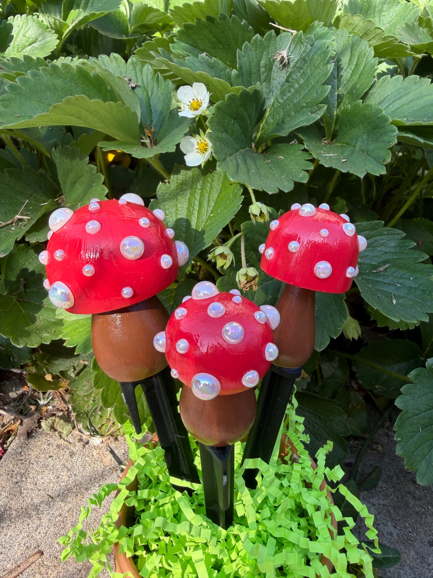 Classic Red Mushroom Stake Set