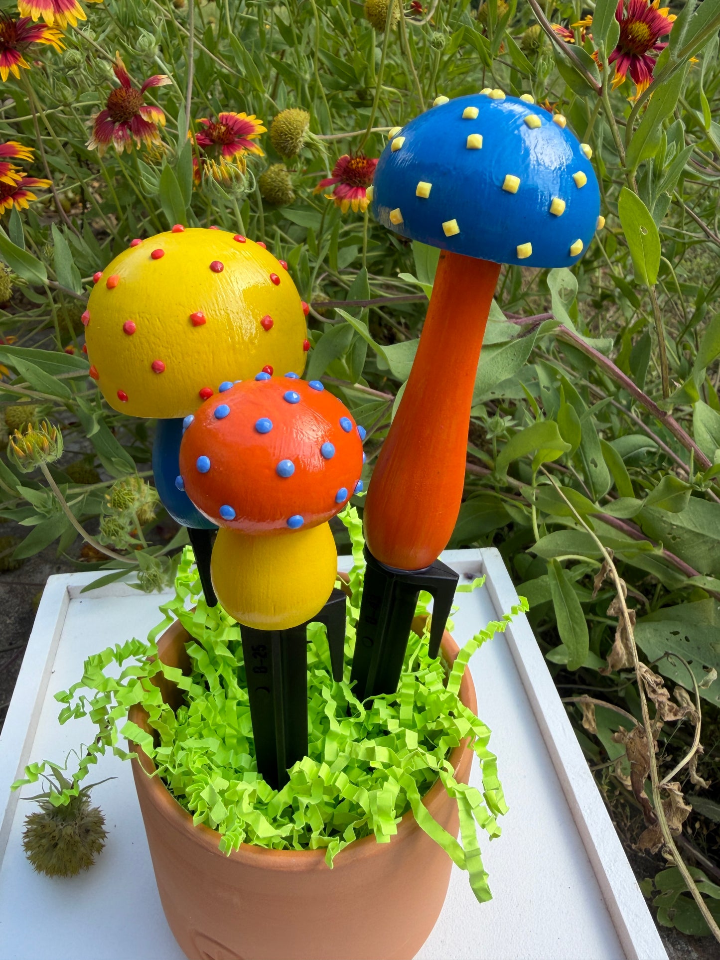 Thunder Mushroom Stakes - Caruso Set