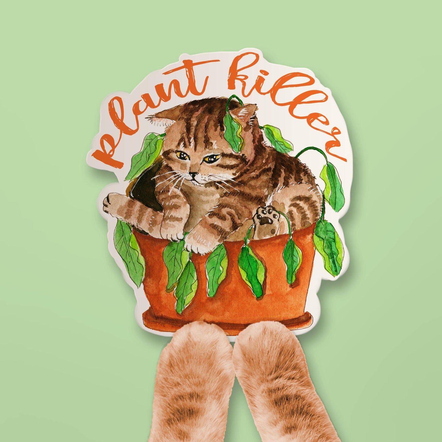 House Plant Killer Cat - Funny Vinyl Stickers