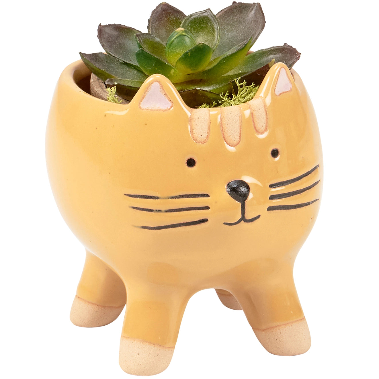 Tabby Cat Planter