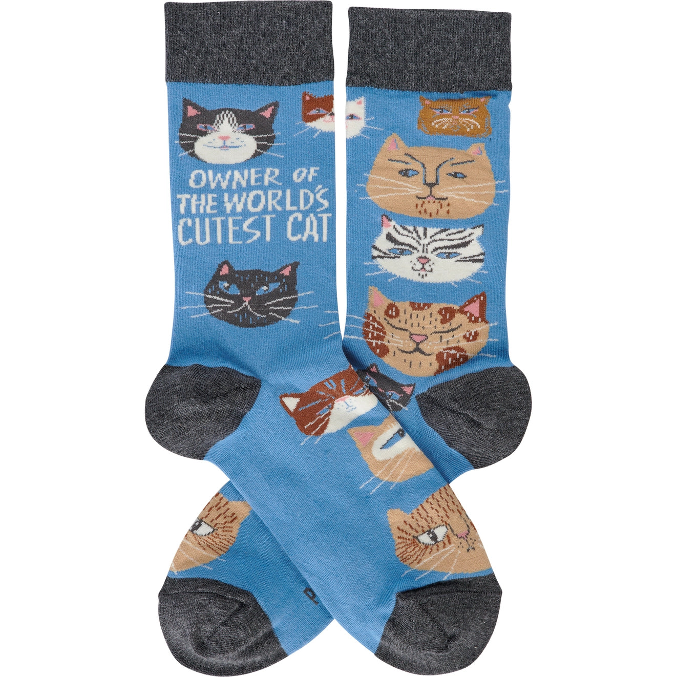 Owner of World's Cutest Cat Socks