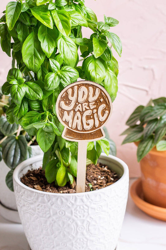 You Are Magic Wooden Plant Stake