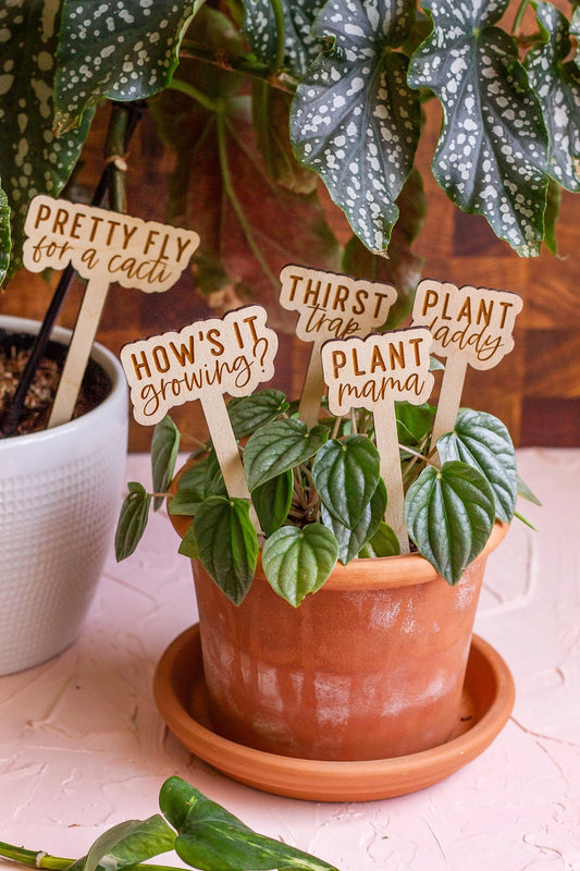 Wooden Plant Markers - Funny Script