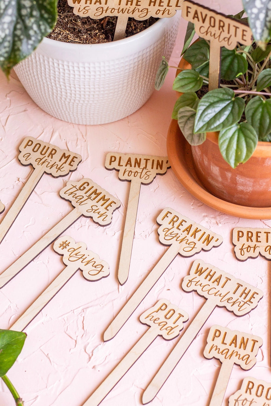 Wooden Plant Markers - Funny Script