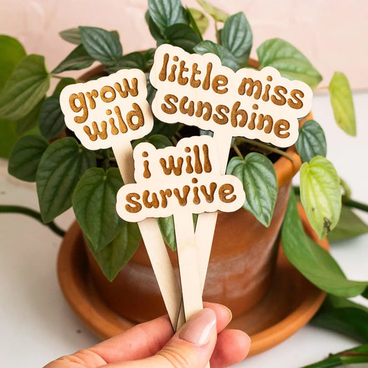 Little Miss Sunshine Plant Marker