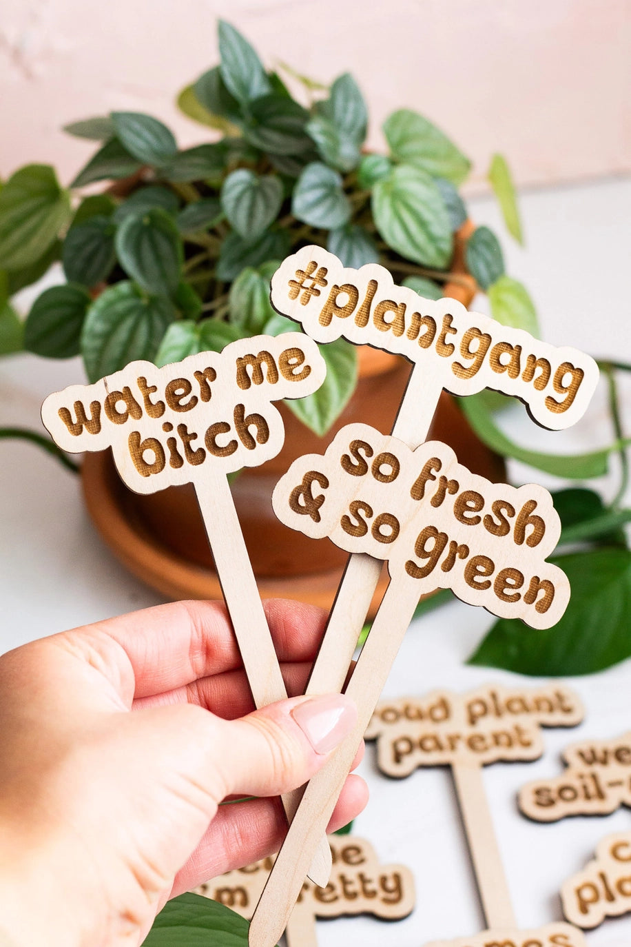 Wooden Plant Markers - Retro Funny