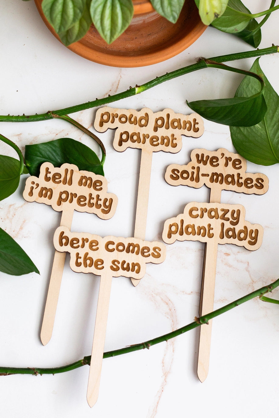 Wooden Plant Markers - Retro Funny