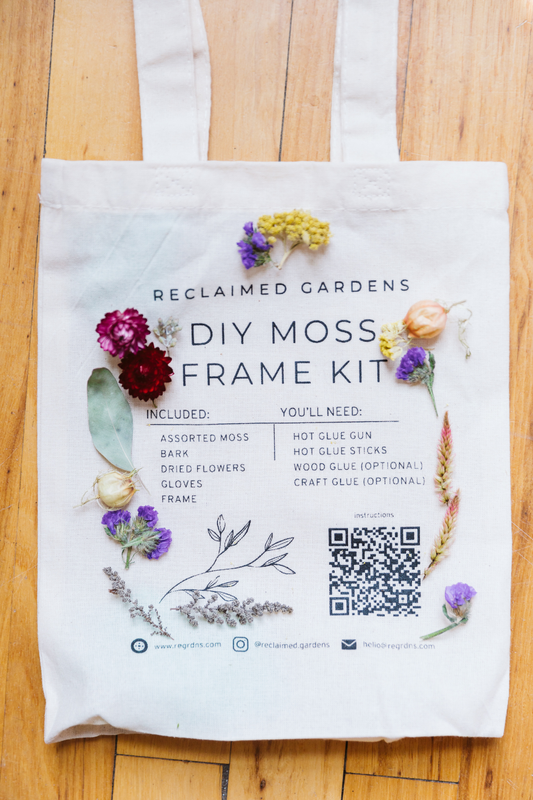 DIY Moss Art Kit