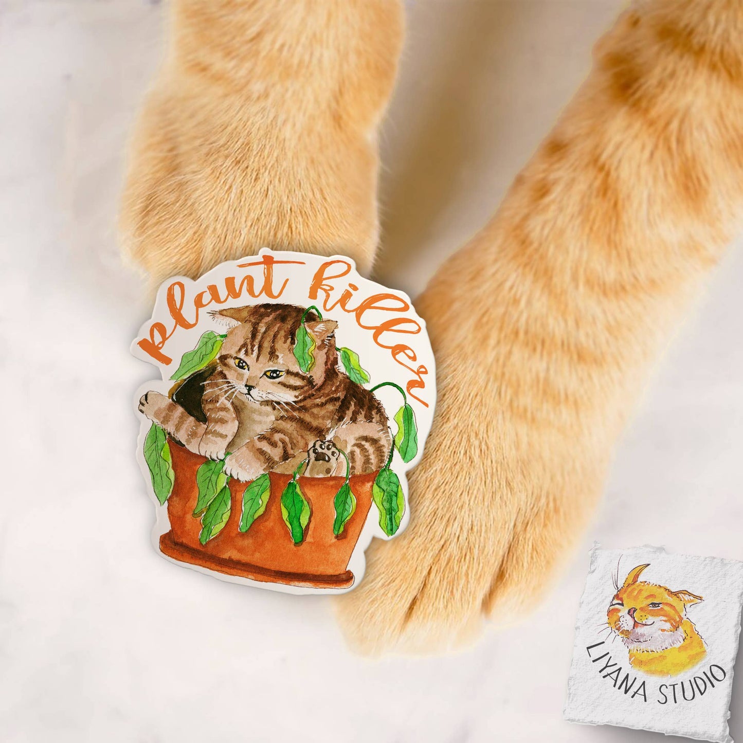 House Plant Killer Cat - Funny Vinyl Stickers