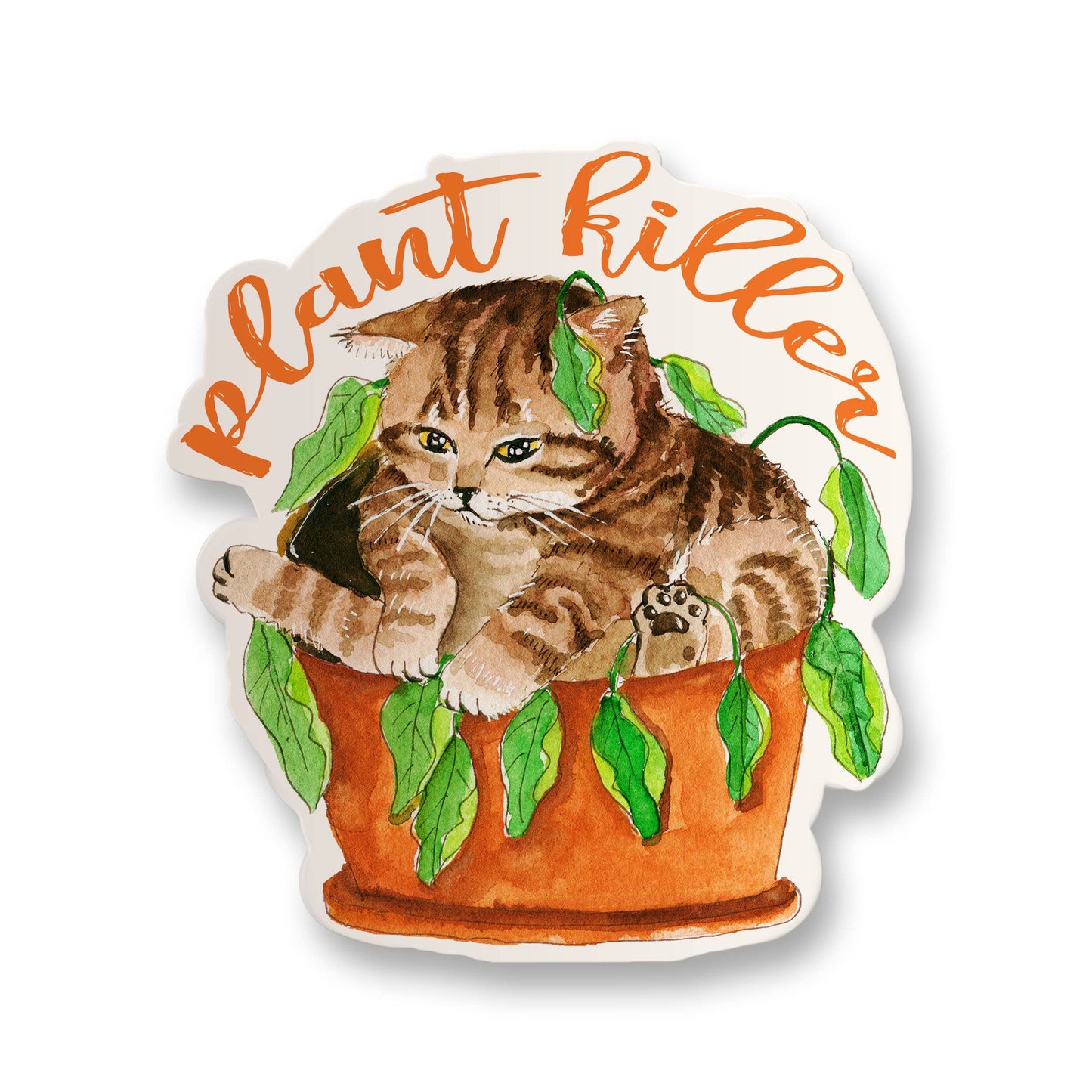 House Plant Killer Cat - Funny Vinyl Stickers